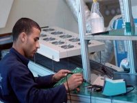 PME : l'application du programme de mise à niveau nécessite de l'expertise (responsable)