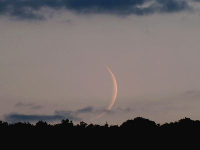 L'Aïd El Fitr serait fêté ce dimanche