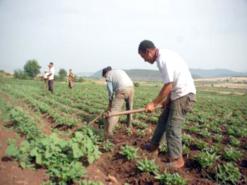 فتح تحقيق حول بطاقات فلاحين مشكوك في صحتها بمستغانم                                    البلديات المعنية تلتزم الصمت