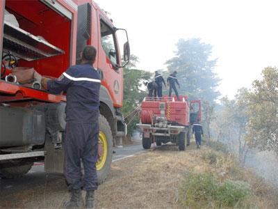 Des milliers d'hectares de forêts et de broussailles ravagés par le feu                                    Incendies et canicule