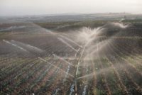 L'utilisation des eaux usées épurées réglementée                                    Irrigation