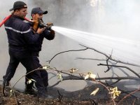 Vingt wilayas face aux flammes                                    Feux de forêt