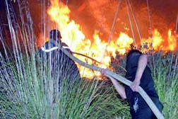 SOS : les forêts, les maquis et les cultures brûlent                                    En trois mois, des centaines d'incendies, des dégâts considérables sur la faune et la flore