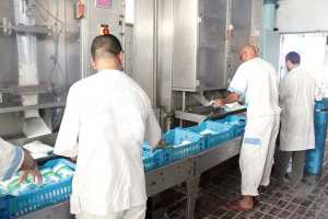 الحليب سيكون بوفرة في غرداية وما جاورها خلال رمضان