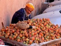 La figue de barbarie inonde les marchés de Souk Ahras