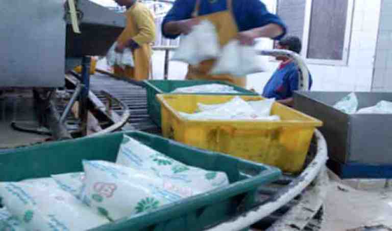 إنتاج 250 ألف لتر من الحليب يوميا بملبنة تيارت