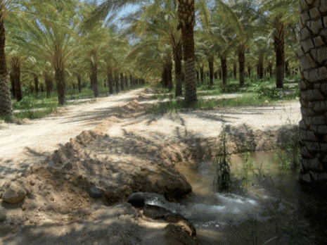 Les agriculteurs dénoncent un immense déficit