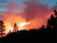 Un été de feu et d'enfer à Tizi Ouzou                                    Canicule, robinets à sec, coupures d'électricité, forêts en partie effacées du patrimoine forestier
