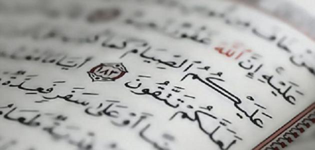 ما هي أفضل العبادات في رمضان