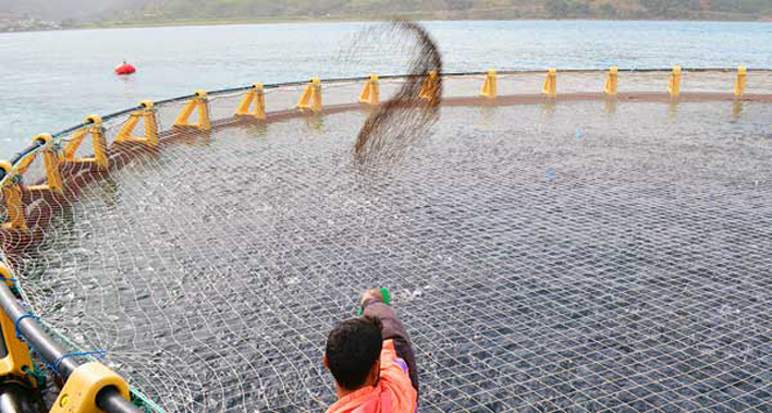 Aquaculture