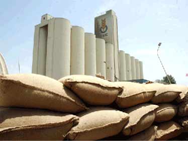 L'Algérie importe du blé en prévision d'une hausse annoncée des cours mondiaux