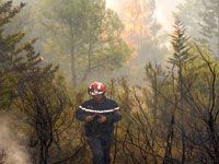 La population de Mizrana, Tigzirt et Iflissen excédée                                    Une semaine au rythme des feux de forêt et des coupures d'eau et d'électricité