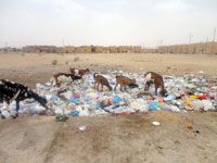 La ville de Tin-Hinan perd de son attraction                                    Insalubrité ambiante, réseau routier défectueux et manque d'éclairage