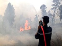 Courage et détermination des soldats du feu à djebel Kimel (Batna)
