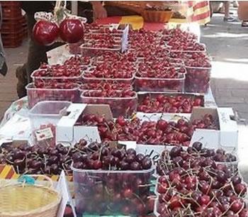 Récolte record de la cerise à Tizi Ouzou