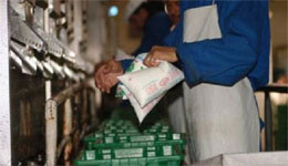 Lait pasteurisé : pas de pénurie