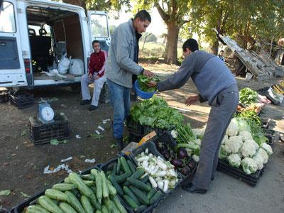 Une saison de toutes les exagérations en Kabylie                                    Tensions multiples et pressions assimilées à des provocations