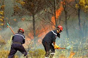 Courage et détermination des soldats du feu                                    Batna, Djebel Kimel