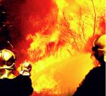 الحماية المدنية تنقذ ثكنة عسكرية من الحرائق بتيبازة                                    النيران تحاصر سكان الأوراس منذ شهرين