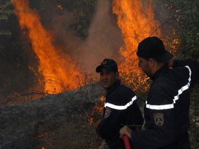 Des milliers d'hectares ravagés par le feu                                    Le facteur humain en est la cause principale