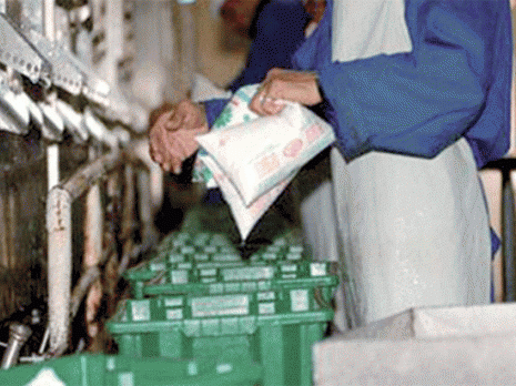 «Le lait en sachet sera disponible tout au long du mois de Ramadhan»