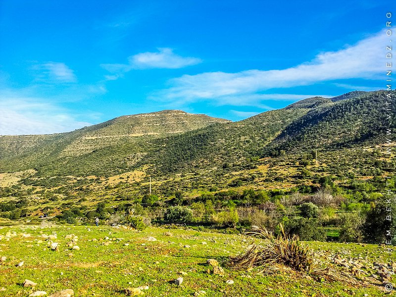 TLEMCEN : contribution à l'étude des trichoptéres au niveau d'oued chouly(nord-ouest ALGERIE)