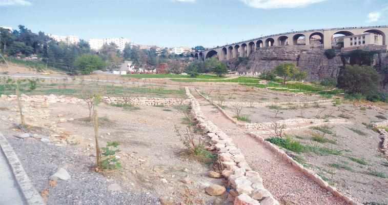 قسنطينة: انزلاقات عميقة تهدد تجسيد مشروع حظيرة باردو