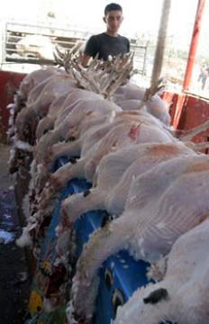 L'empire de la viande rouge et blanche