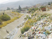 Blida                                    Ville des Roses, dites-vous '