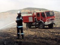 Les feux de forêt menacent aussi les animaux A Tlemcen et Sidi Bel Abbès