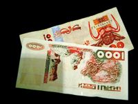 Détérioration du pouvoir d'achat des Algériens                                    Il faut sauver le dinar
