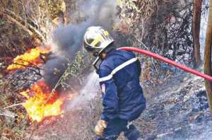 Lutte contre les feux de forêts :Mobilisation de plus de 887 agents à Tissemsilt