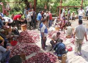 تعتبر فرحة عند الأغنياء والفقراء على حد سواء رمضان يحيي عادة «الوزيعة» عند العائلات التلمسانية
