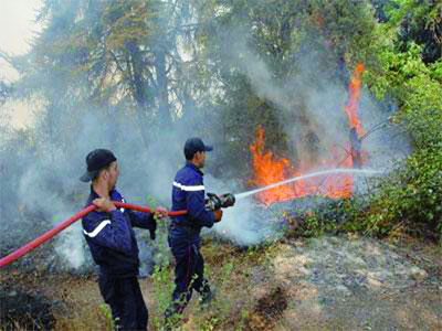 Les écologistes lancent l'alerte en Kabylie