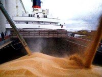 Baisse de 34% de la facture des importations algériennes de blé les 7 premiers mois 2012 (Douanes)