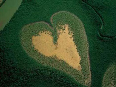 Journée mondiale de l'environnement : 