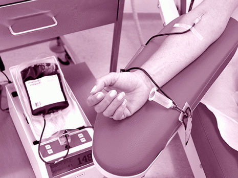 Don de sang au compte goûte