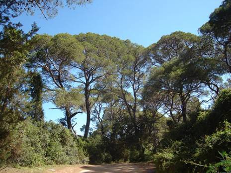 Le camp de Sidi Fredj : un espace de détente et de quiétude                                    Culture : les autres articles