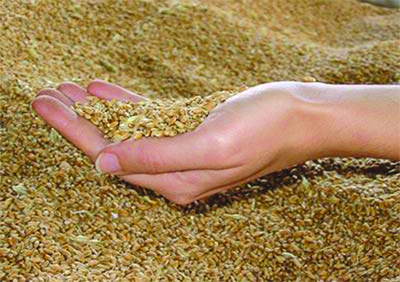 Baisse de près de 34% de la facture des importations algériennes