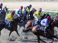 Un parcours a surprises Les courses a Zemmouri