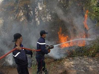 النيران تحاصر مداشر بأكملها بتيزي وزو والبويرة وبومرداس منذ أسبوع وسط إغماءات السكان
