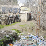 1000 عائلة بحي “سركينة