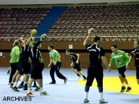 Handball : la sélection algérienne en stage précompétitif en Serbie du 31 août au 9 septembre