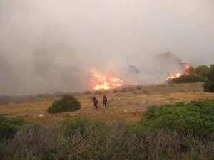 Mostaganem - Plus de 10 hectares de forêt ravagés par le feu