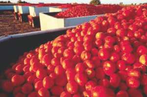 Les dernières pluies ont été bénéfiques