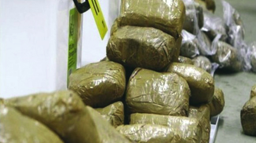 Démantèlement d'une bande de trafiquants de drogue et saisie de 20 kg de cannabis