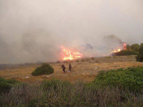 Mostaganem - Plus de 10 hectares de forêt ravagés par le feu