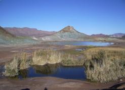 عين ورقة بالنعامة.. تفتح أبوابها للسياح