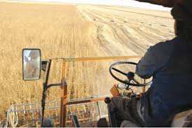 Constantine  Agriculture: L'espoir malgré le stress hydrique