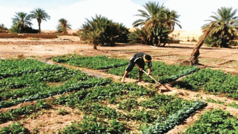 Des perspectives réelles mais aussi des controverses